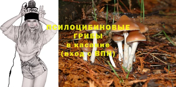 стаф Балахна